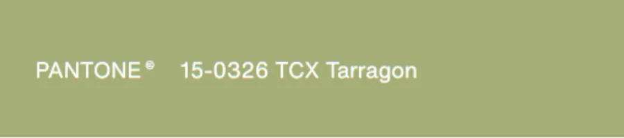 Tarragon 龙蒿草绿,一种微妙的草本植物绿色。