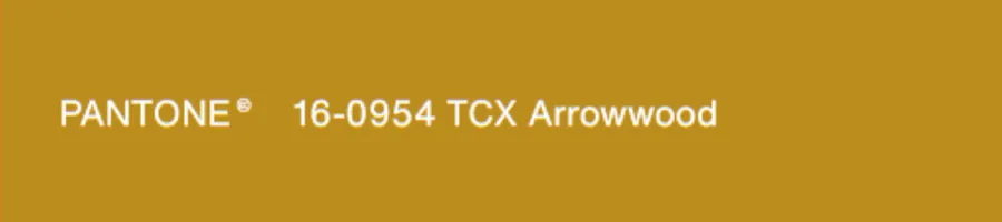 Arrowwood 木质金色调,深沉的木质金色,沉稳踏实、低调。